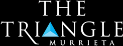 The Triangle Logo